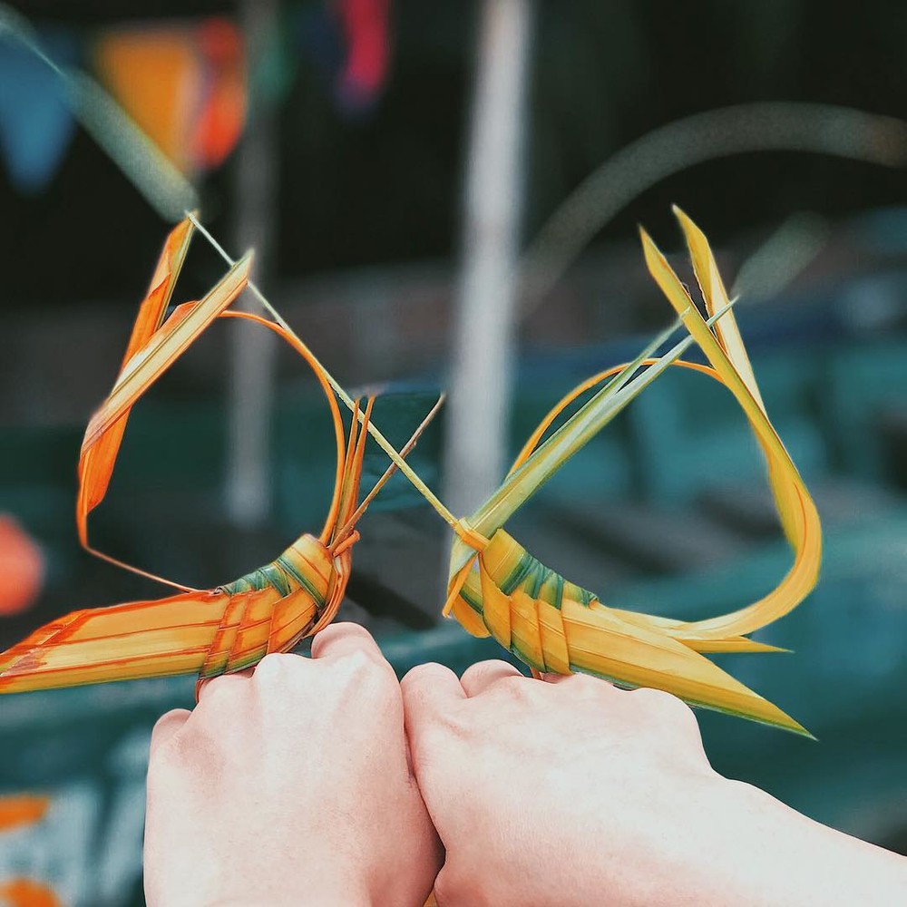 Vé tham quan + Thúng Rừng dừa bảy mẫu