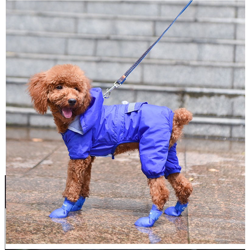 Giày Đi Mưa Cho Thú Cưng