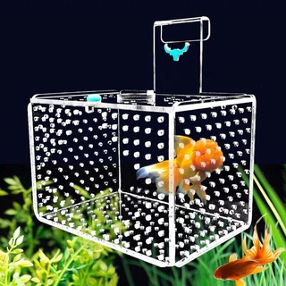 Lồng dưỡng cá / Lồng mica tách cá- tép