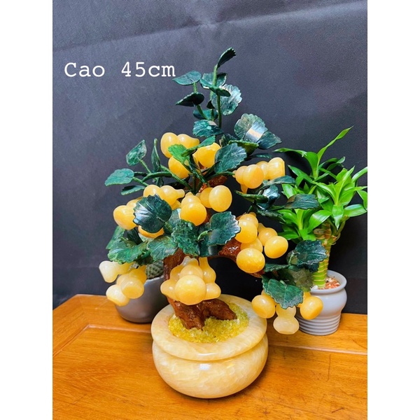 Cây Hồ Lô Trái Đá Ngọc Hoàng Long Phong Thuỷ