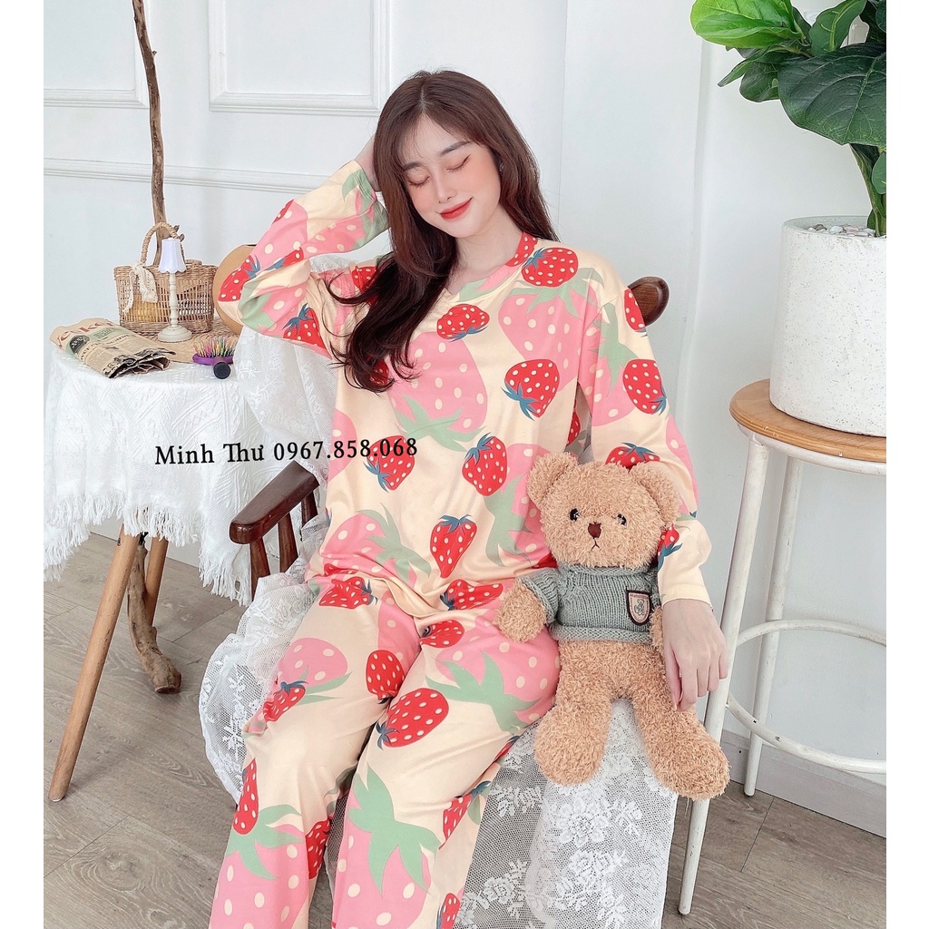 Đồ ngủ mặc nhà dài tay thu đông mềm mịn chất liệu thun sữa co giãn- Đồ mặc nhà dễ thương- Mã BD03