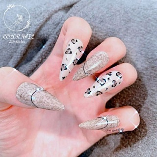 Nail box - Móng up thiết kế : Sơn lông