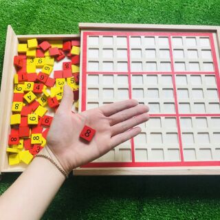 Ô số sodoku và cờ carô