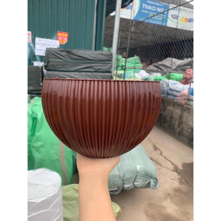 Chậu Gân sọc để bàn màu Vàng Đồng sang trọng