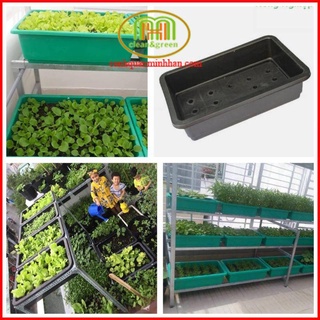 Chậu trồng rau thông minh không chảy nước ra sàn