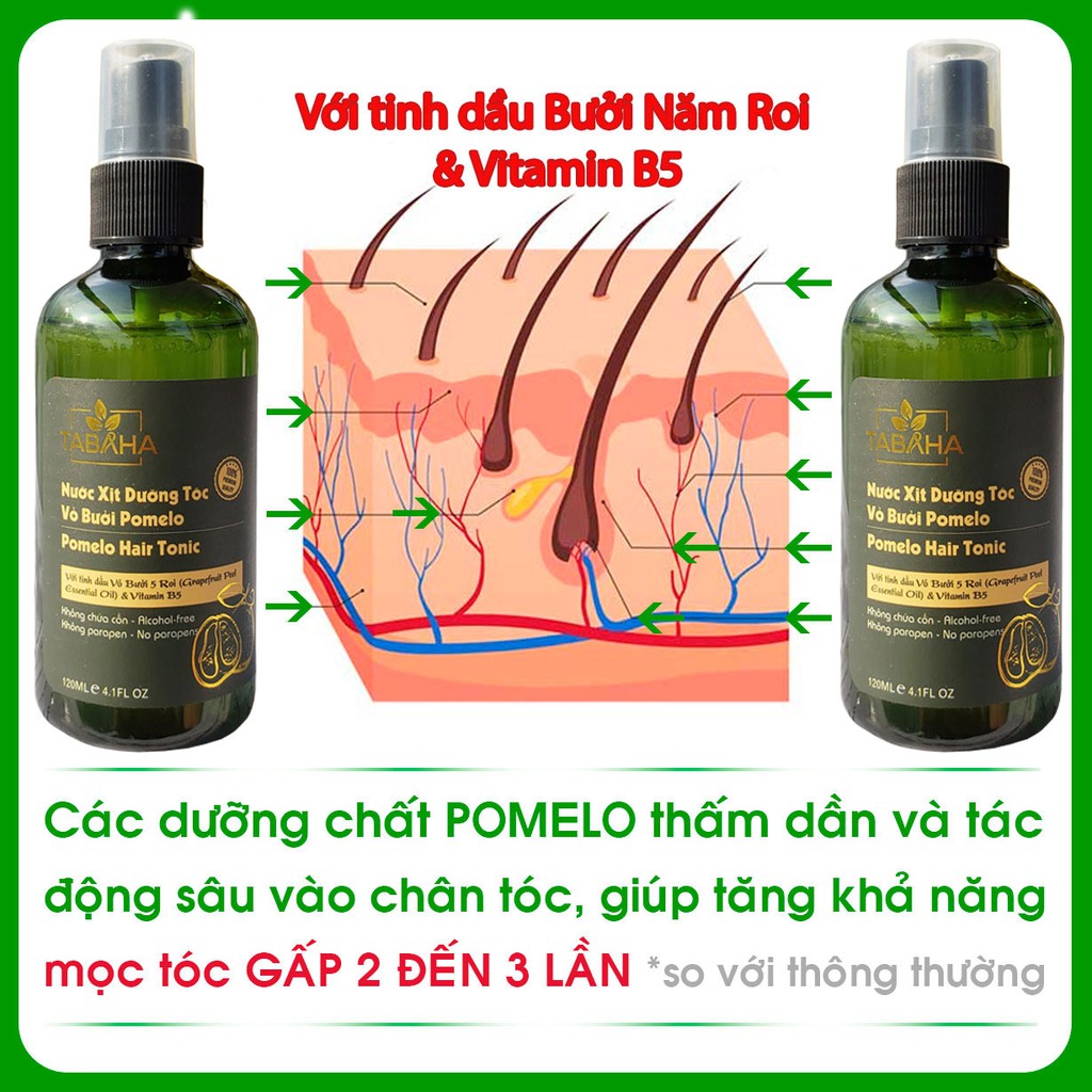 Bộ 2 Chai Xịt Tinh Dầu Bưởi Pomelo Tabaha Ngăn rụng tóc giúp tóc dài và dày hơn (120ml x2)