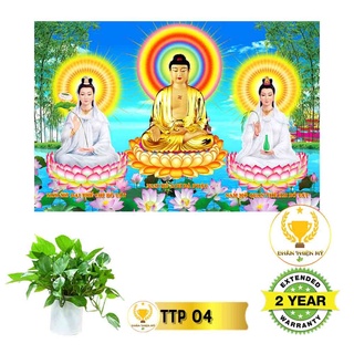 Tranh điện Tam Thế Phật_TTP1