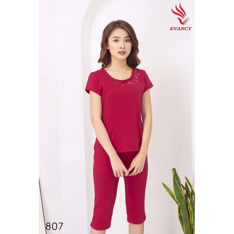 ♥️BỘ MẶC NHÀ EVANCY 807 ♥️ size ĐẾN 70kg🌼 Thiết kế đơn giản dễ mặc | BigBuy360 - bigbuy360.vn