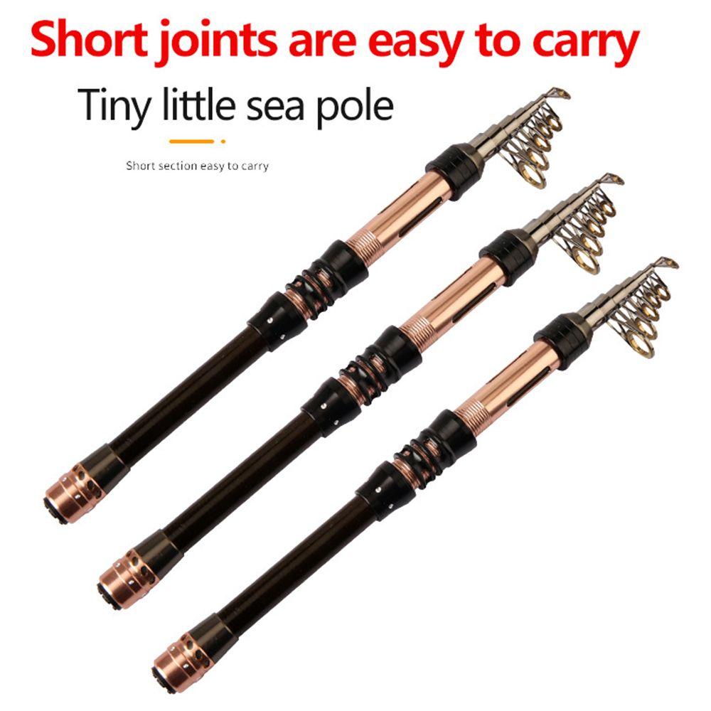 Cần Câu Cá Có Thể Điều Chỉnh Tiện Dụng Khi Đi Du Lịch