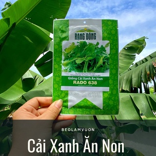 Hạt Giống Cải Xanh Baby Rạng Đông
