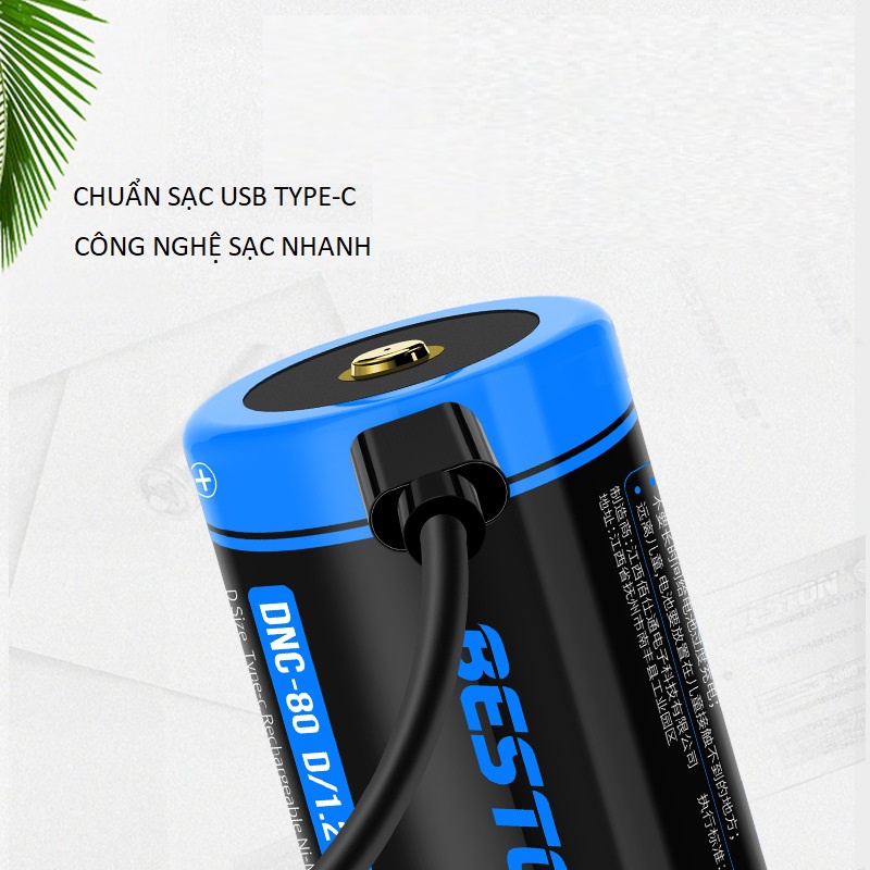 Pin D sạc cỡ đại Beston DNC-80 1.2v 8000mAh cổng sạc USB Type-C Pin Sạc Cho Bếp Ga, Đèn Pin, Thiết Bị Công Nghiệp