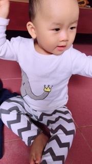Bộ cotton xuất hàn