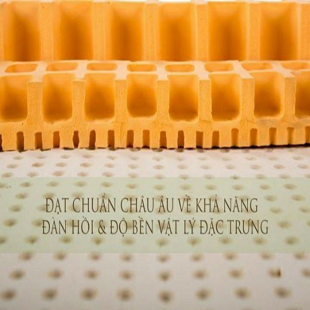 Nệm Cao Su Vạn Thành Standard THIÊN NHIÊN