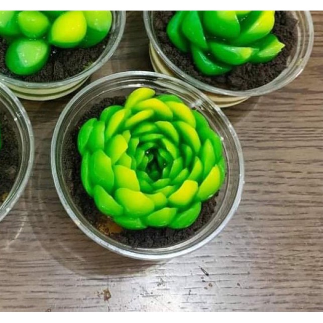 Khuôn Silicone Sen Đá Xương Rồng Ngọc 8Cm