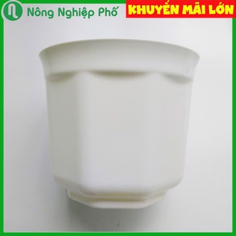 Chậu bát giác trồng hoa kiểng 12x10cm