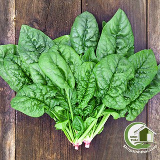 Gói Hạt Giống Rau Chân Vịt ( Cải Bó Xôi ) - Nảy Mầm Cực Chuẩn