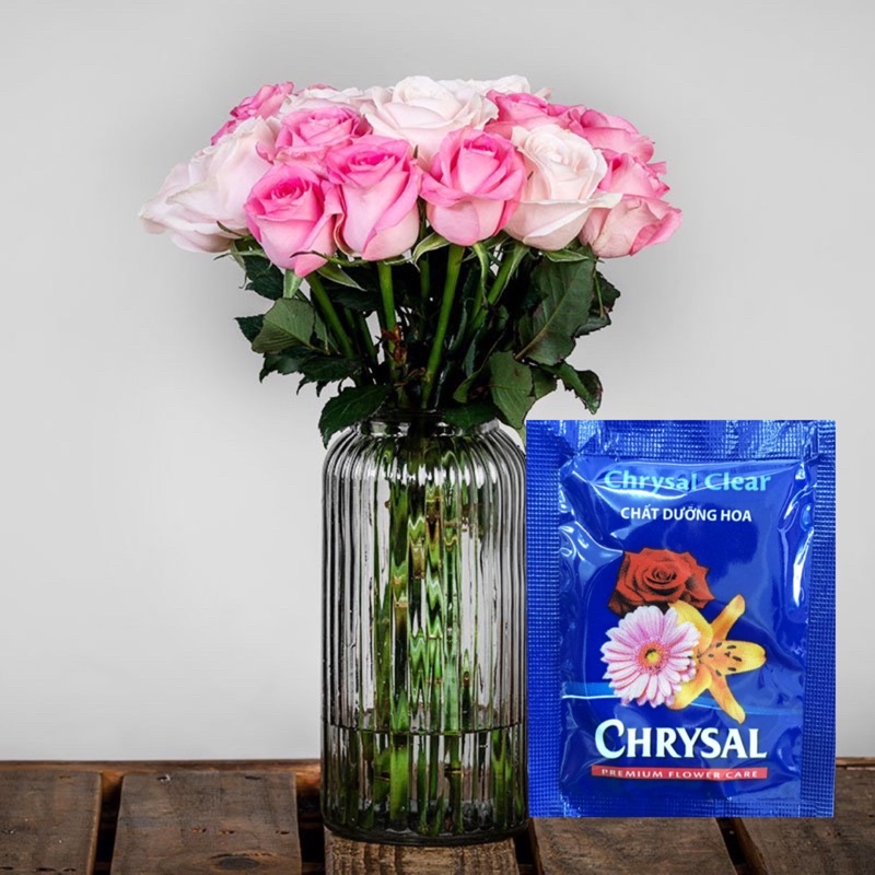 Combo 5 gói bột CẮM HOA CẮT CÀNH LÂU TÀN, KHÔNG THỐI NƯỚC( phân phối bởi Đalat Hasfarm)