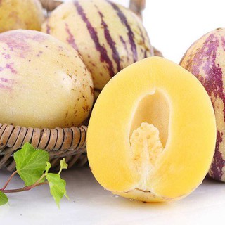 20H - HẠT GIỐNG DƯA PEPINO