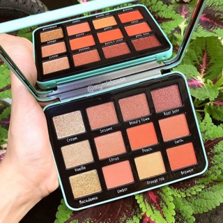 BẢNG MÀU MẮT PEACH ODBO THÁI LAN - TONE CAM ĐÀO SIÊU XINH