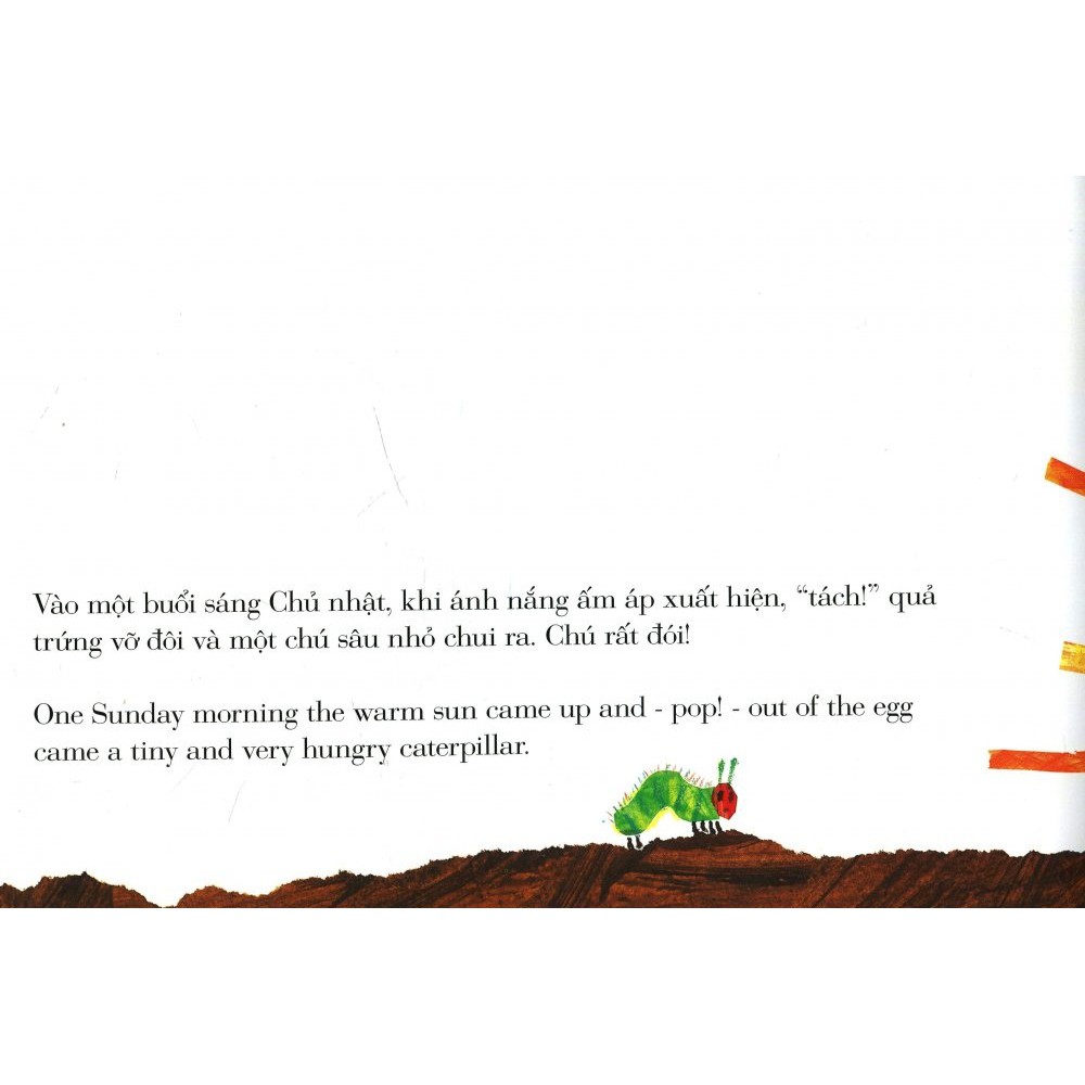 Sách Picture Book Song Ngữ - Chú Sâu Háu Ăn (Tái Bản)