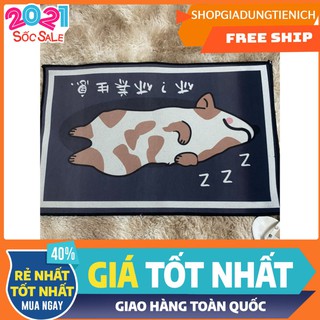 Thảm lau chân 3D siêu hot mẫu mới 2020,chát chọn mẫu