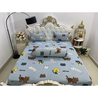 Bộ drap thun❤️FREESHIP❤️ga thun lạnh - drap thun Hàn Quốc con mèo( 1ga, 2 áo gối nằm, 1 áo gối ôm)