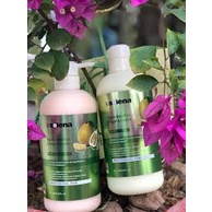 [CẶP DẦU GỘI XẢ BƯỞI]😘 Dầu Gội Dầu Xả Bưởi Tóc Phục Hồi Hư Tổn selena 800ML | BigBuy360 - bigbuy360.vn