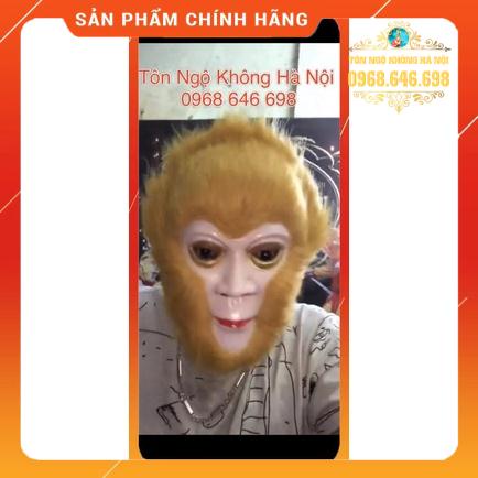 Mặt nạ nhựa Tôn Ngộ Không có lông - MẶT NẠ TÔN NGỘ KHÔNG TRẺ EM