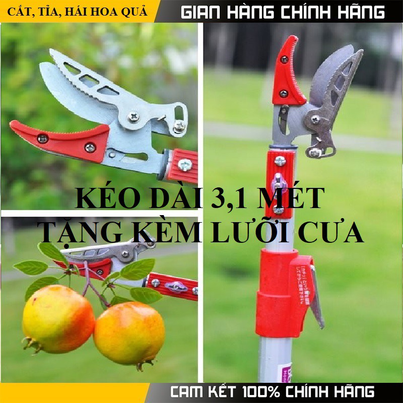 Kéo cắt cành hái hoa quả trên cao đa năng dài 3,4 mét