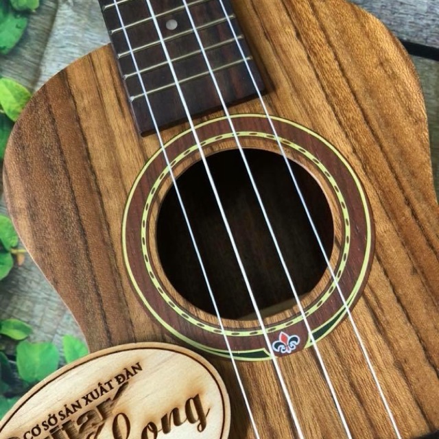 Ukulele concert Gỗ