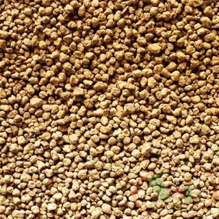 Đất AKADAMA 200gr
