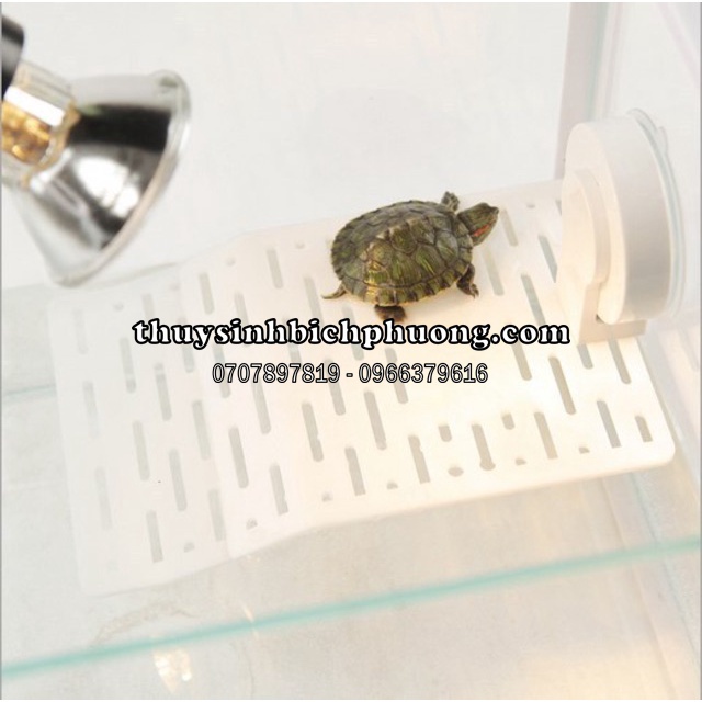 ĐỒ CHƠI NUÔI RÙA - MIẾNG SÀN NHỰA LÀM BÁN CẠN CHO RÙA
