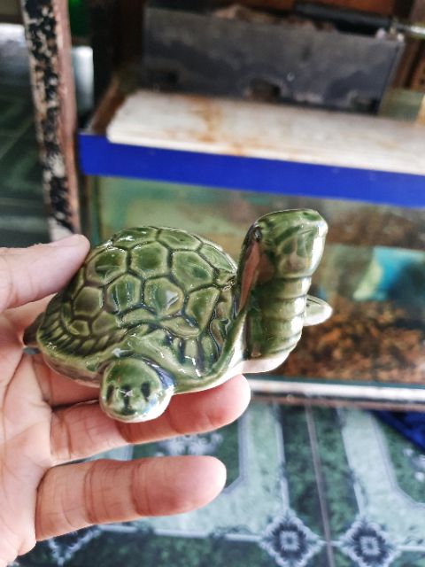 RÙA TRANG TRÍ HỒ CÁ NON BỘ 11x6x4cm