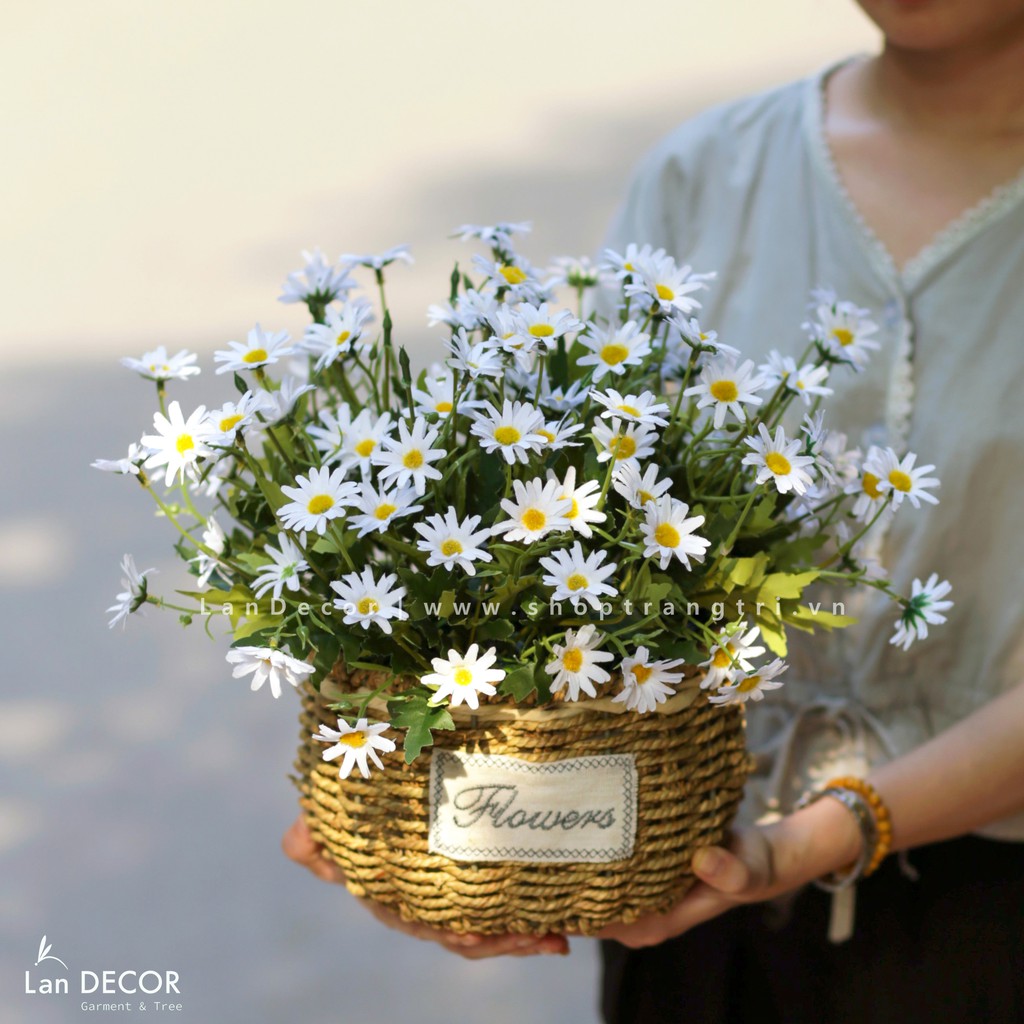 Hoa giả - Giỏ Cúc họa mi trang trí nhà đẹp, decor bàn làm việc, phong cách đồng nội đẹp tự nhiên lãng mạn Lan Decor