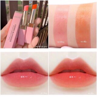 Son dưỡng môi HOJO cực mịn