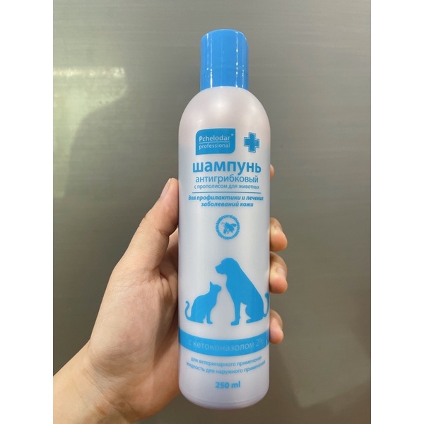 Sữa tắm, xịt nấm, viêm da của Nga Pchelodar cho chó mèo