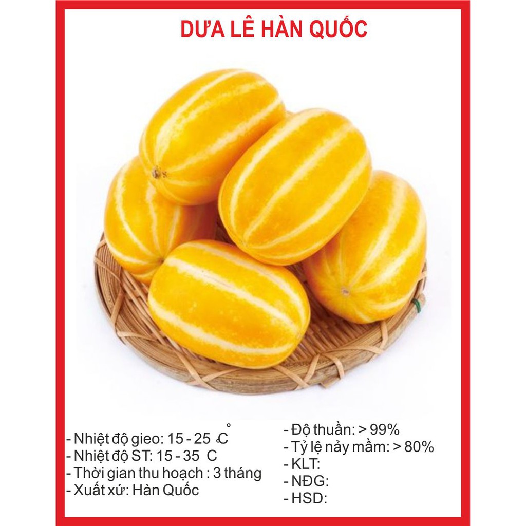 Dưa lê hàn quốc 20 Hạt