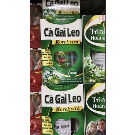 ✅ (CHÍNH HÃNG) Cà Gai Leo - Giải Độc Gan, Giải Rượu