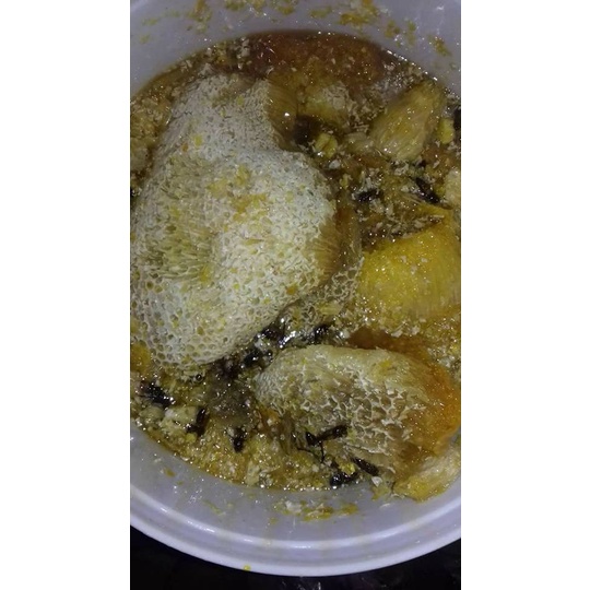 Mật ong lỗ Kon Tum