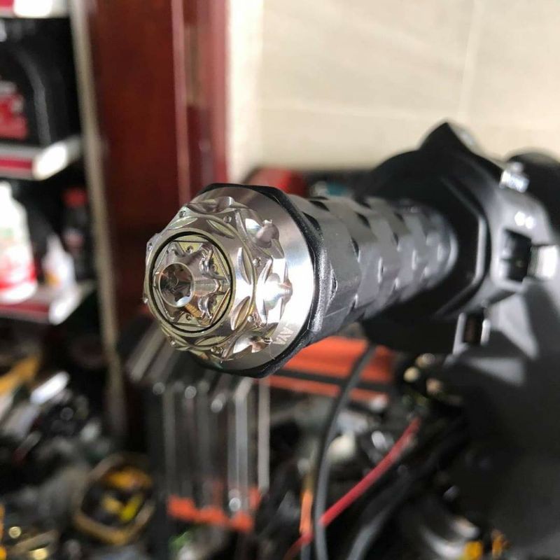 Cặp gù Salaya gắn được winner X và Exciter sonic raider satria