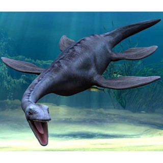 Mô Hình Khủng Long Plesiosaurus Chất Lượng Cao glory