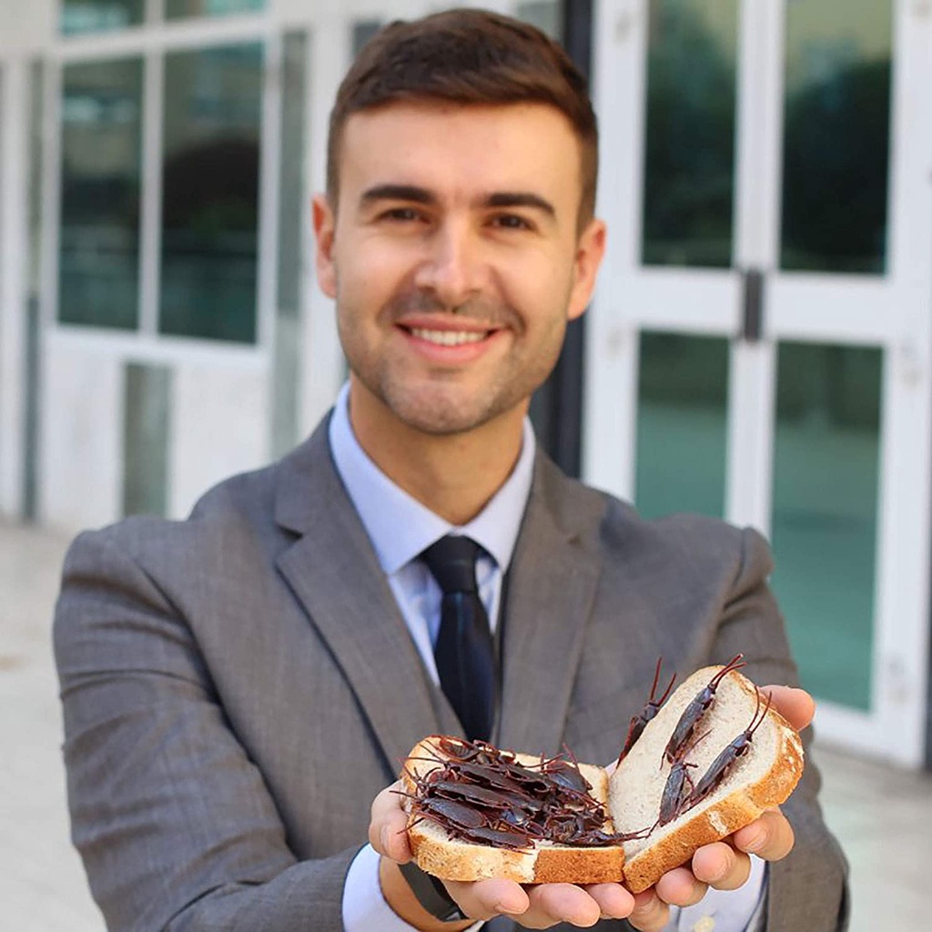 Bộ 12 Hộp Nhựa Đựng Gián / Côn Trùng Đáng Sợ Cho Bữa Tiệc / Halloween / Giáng Sinh