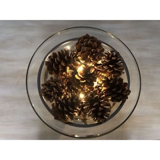 Quả thông khô Đà Lạt,decor trang trí nhà cửa , đạo cụ chụp ảnh