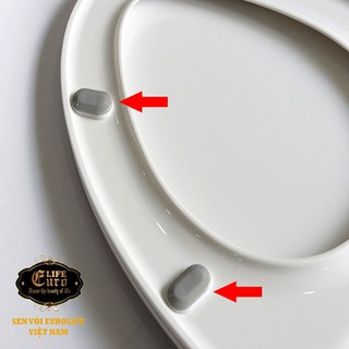 NẮP BỒN CẦU EUROLIFE EL-PS218