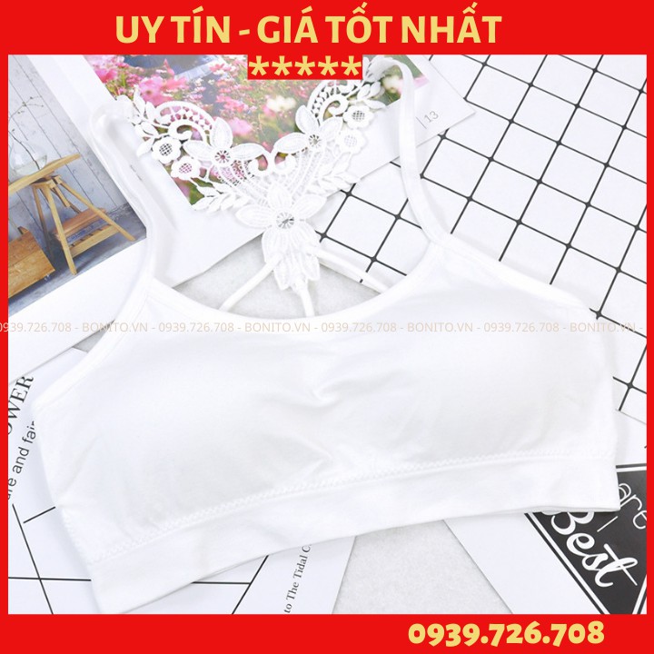 Áo lót bra cotton lưng ren bướm 3 lỗ