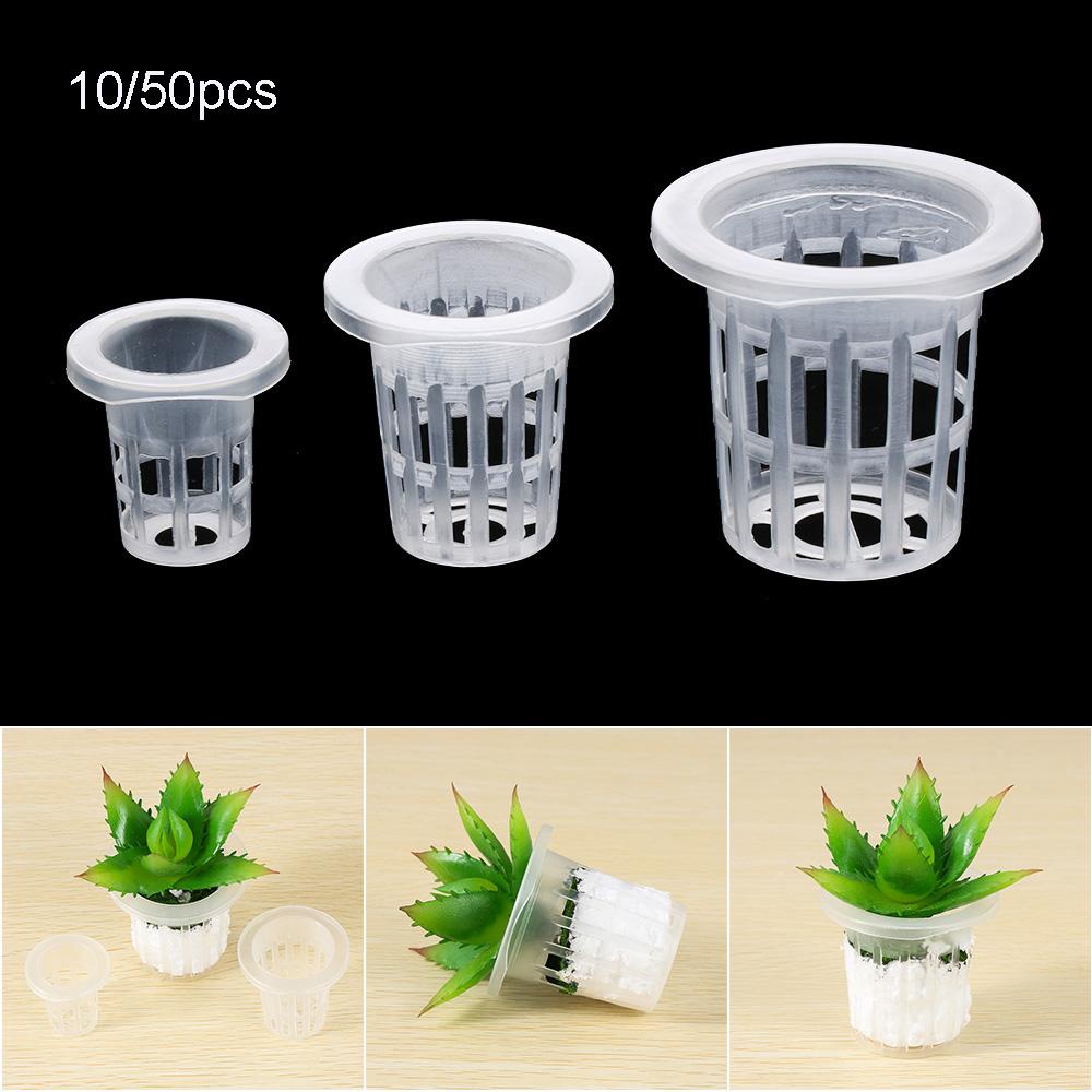 BORAG 10 / 50 Chậu Trồng Cây Thủy Canh Không Cát