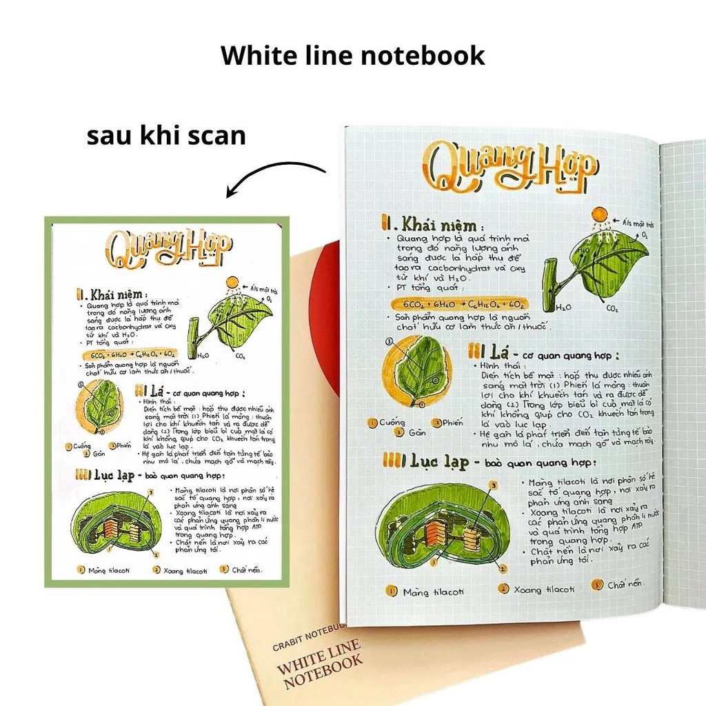 Vở CRABIT White line CAM đường kẻ trắng - Tập học sinh, sinh viên may gáy 100gsm 80 trang