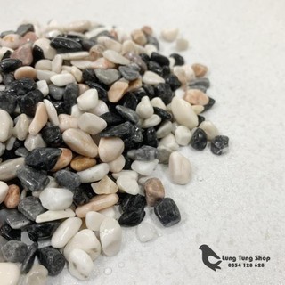 Sỏi ba màu tự nhiên ( chọn size )