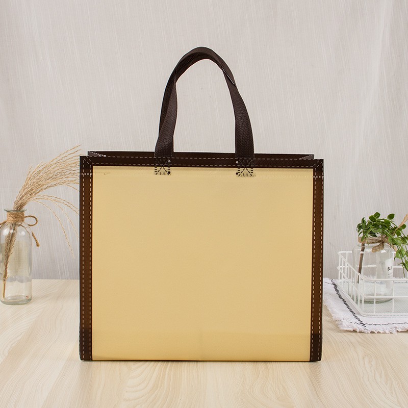 Túi xách mua sắm bằng vải không dệt