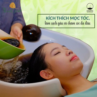 [Ogatic] Combo Bột Lá Nhuộm Tóc & Lá Thơm Gội Đầu- 100% Thảo Mộc Tự Nhiên- An Toàn Sức Khỏe- Herbal Dye Hair [Xanh Suốt]